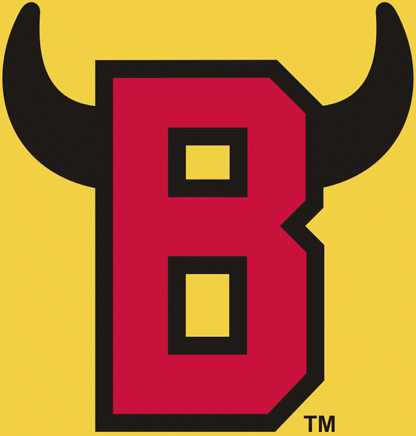 Belleville Bulls 1981-2008 secondary logo iron on transfers for T-shirts